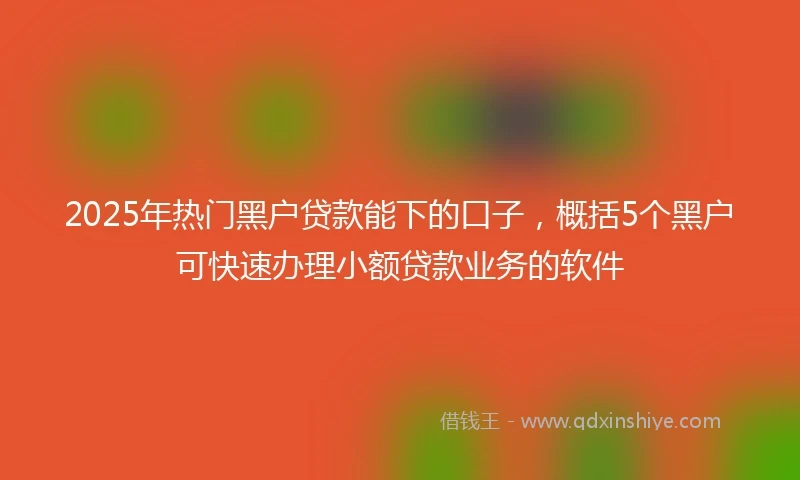 2025年热门黑户贷款能下的口子，概括5个黑户可快速办理小额贷款业务的软件