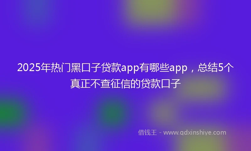 2025年热门黑口子贷款app有哪些app，总结5个真正不查征信的贷款口子