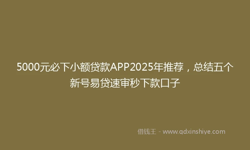 5000元必下小额贷款APP2025年推荐，总结五个新号易贷速审秒下款口子