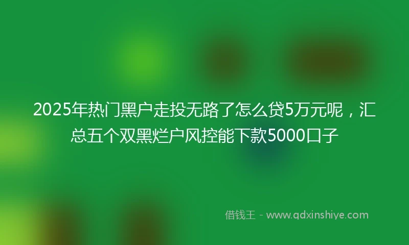 2025年热门黑户走投无路了怎么贷5万元呢，汇总五个双黑烂户风控能下款5000口子