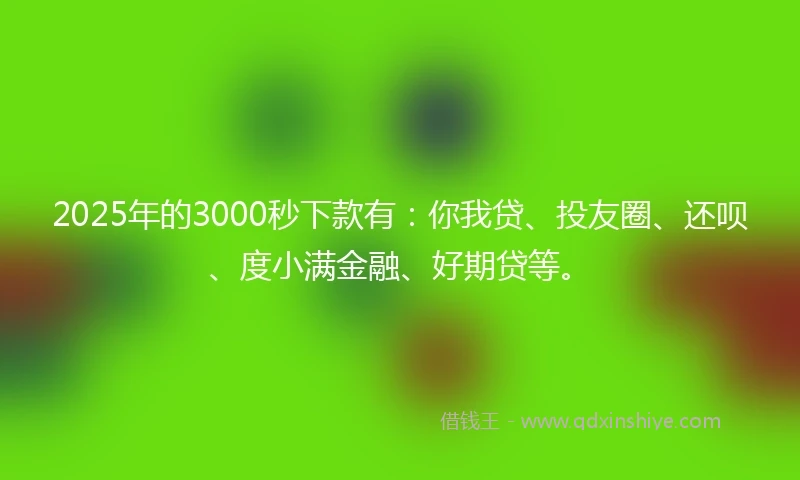 2025年的3000秒下款有：你我贷、投友圈、还呗、度小满金融、好期贷等。