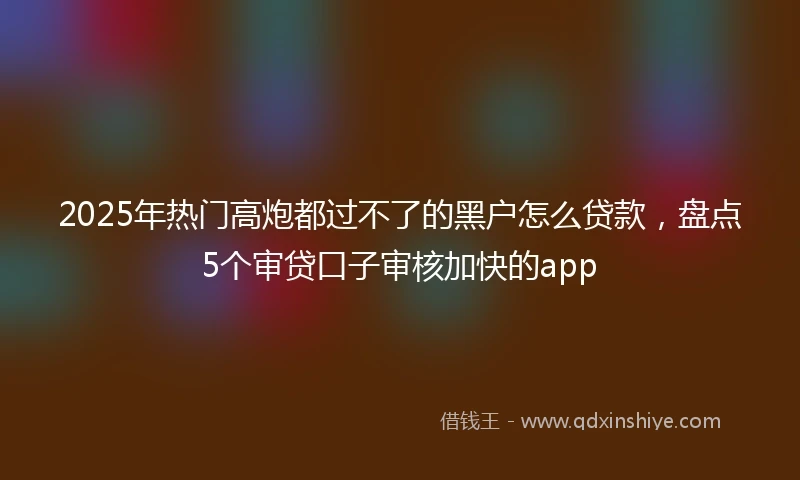 2025年热门高炮都过不了的黑户怎么贷款，盘点5个审贷口子审核加快的app