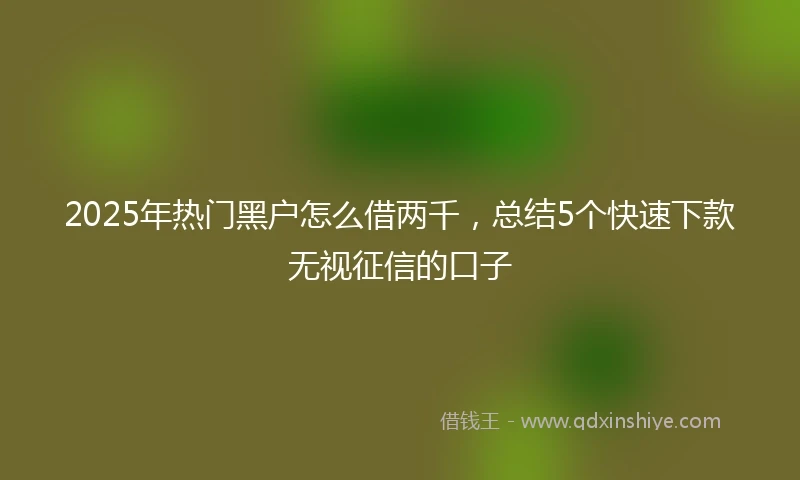 2025年热门黑户怎么借两千，总结5个快速下款无视征信的口子