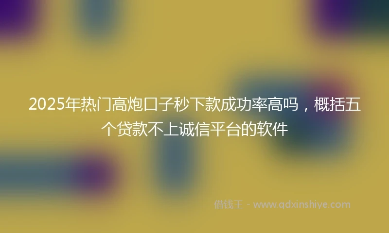 2025年热门高炮口子秒下款成功率高吗，概括五个贷款不上诚信平台的软件