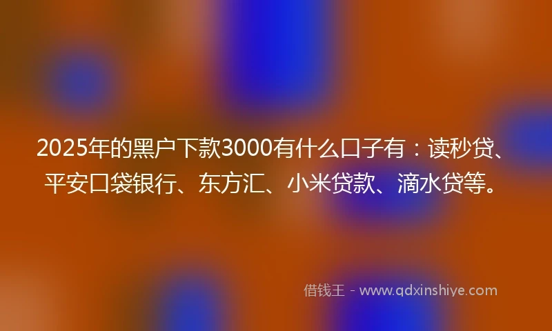 2025年的黑户下款3000有什么口子有：读秒贷、平安口袋银行、东方汇、小米贷款、滴水贷等。