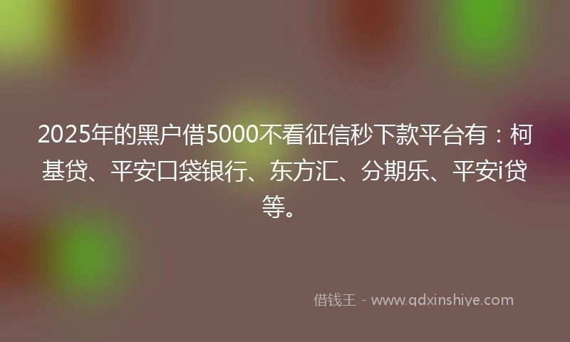 2025年的黑户借5000不看征信秒下款平台有：柯基贷、平安口袋银行、东方汇、分期乐、平安i贷等。