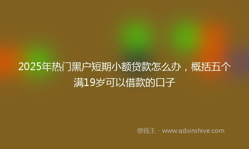2025年热门黑户短期小额贷款怎么办，概括五个满19岁可以借款的口子