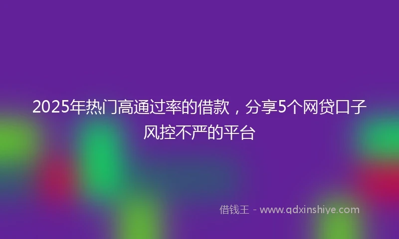 2025年热门高通过率的借款，分享5个网贷口子风控不严的平台