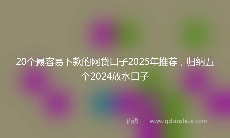 20个最容易下款的网贷口子2025年推荐，归纳五个2024放水口子