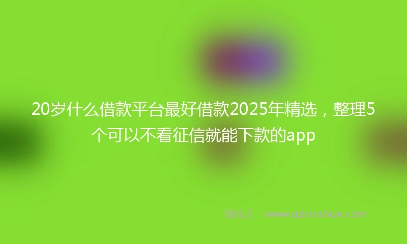 20岁什么借款平台最好借款2025年精选，整理5个可以不看征信就能下款的app