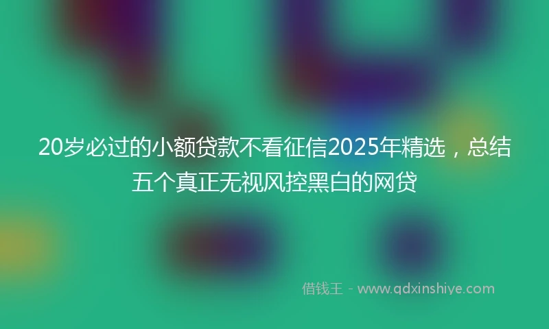 20岁必过的小额贷款不看征信2025年精选，总结五个真正无视风控黑白的网贷