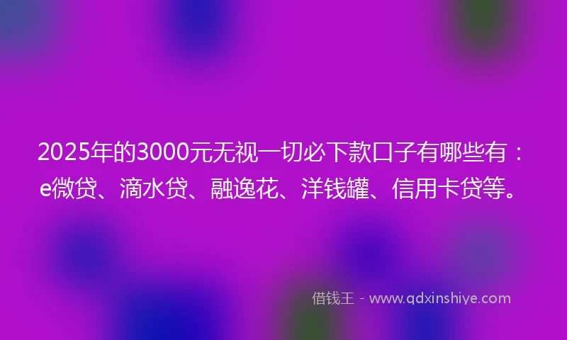 2025年的3000元无视一切必下款口子有哪些有：e微贷、滴水贷、融逸花、洋钱罐、信用卡贷等。