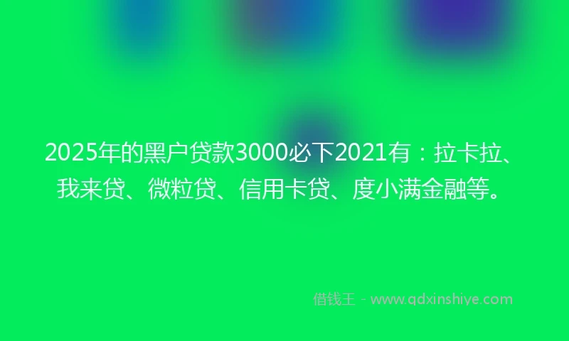 2025年的黑户贷款3000必下2021有：拉卡拉、我来贷、微粒贷、信用卡贷、度小满金融等。