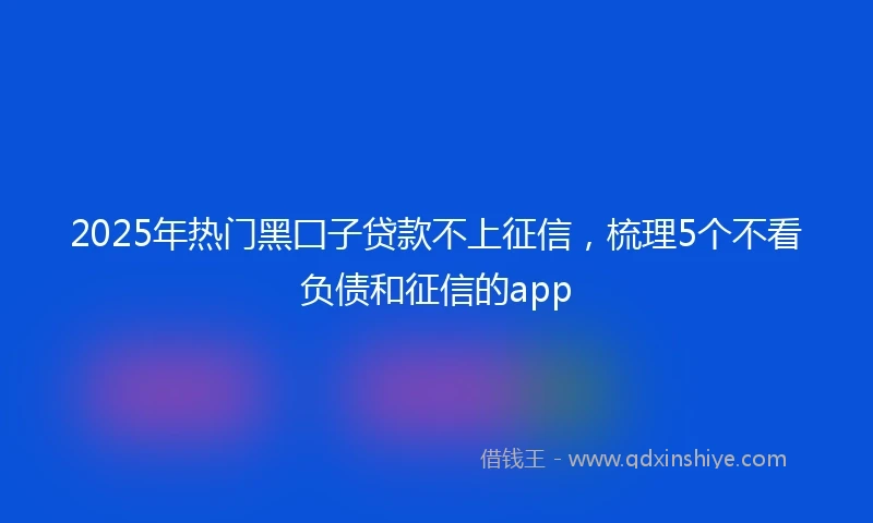 2025年热门黑囗子贷款不上征信,梳理5个不看负债和征信的app