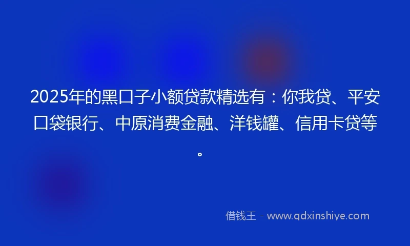 2025年的黑口子小额贷款精选有：你我贷、平安口袋银行、中原消费金融、洋钱罐、信用卡贷等。