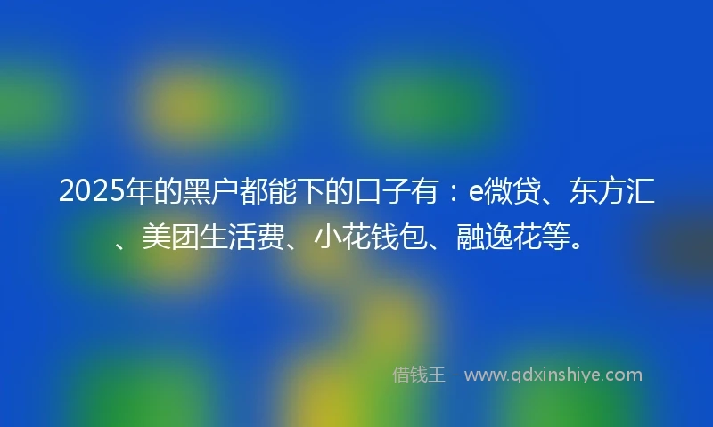 2025年的黑户都能下的口子有：e微贷、东方汇、美团生活费、小花钱包、融逸花等。