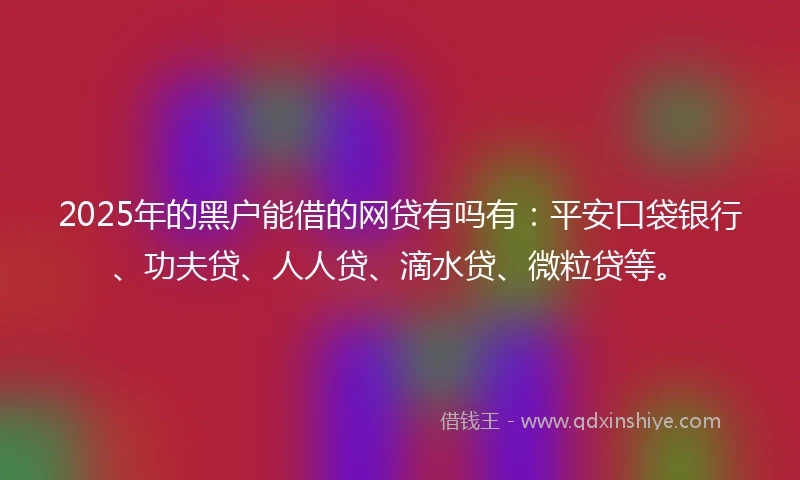 2025年的黑户能借的网贷有吗有：平安口袋银行、功夫贷、人人贷、滴水贷、微粒贷等。