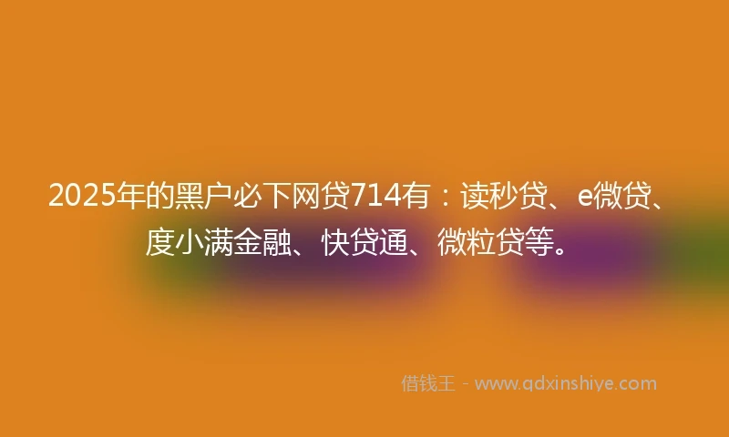 2025年的黑户必下网贷714有：读秒贷、e微贷、度小满金融、快贷通、微粒贷等。