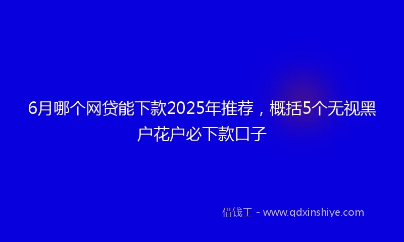 6月哪个网贷能下款2025年推荐，概括5个无视黑户花户必下款口子