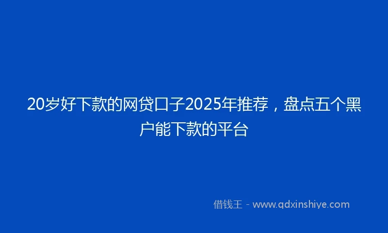20岁好下款的网贷口子2025年推荐，盘点五个黑户能下款的平台