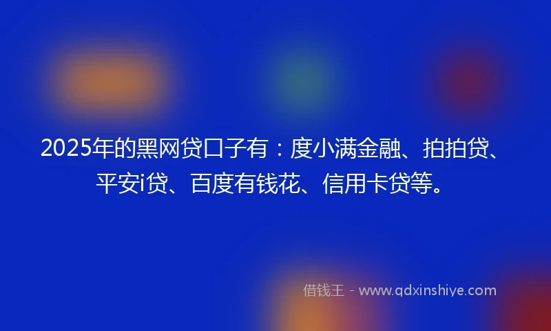 2025年的黑网贷口子有：度小满金融、拍拍贷、平安i贷、百度有钱花、信用卡贷等。