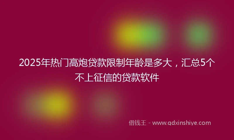 2025年热门高炮贷款限制年龄是多大，汇总5个不上征信的贷款软件