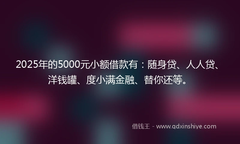 2025年的5000元小额借款有：随身贷、人人贷、洋钱罐、度小满金融、替你还等。