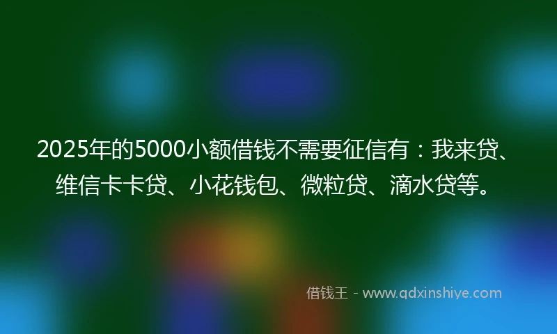 2025年的5000小额借钱不需要征信有：我来贷、维信卡卡贷、小花钱包、微粒贷、滴水贷等。