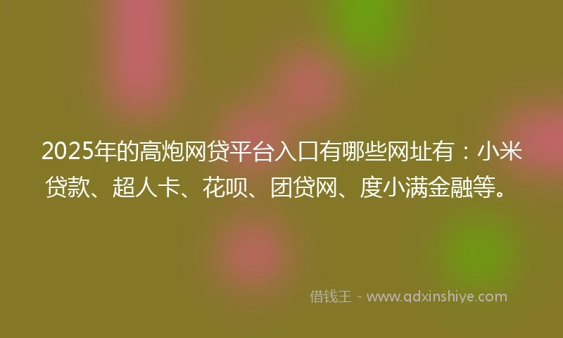 2025年的高炮网贷平台入口有哪些网址有:小米贷款、超人卡、花呗、团贷网、度小满金融等。