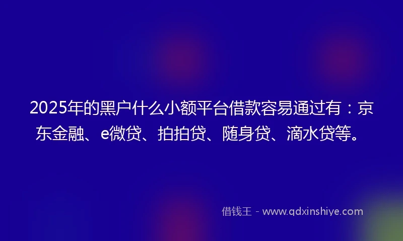 2025年的黑户什么小额平台借款容易通过有：京东金融、e微贷、拍拍贷、随身贷、滴水贷等。