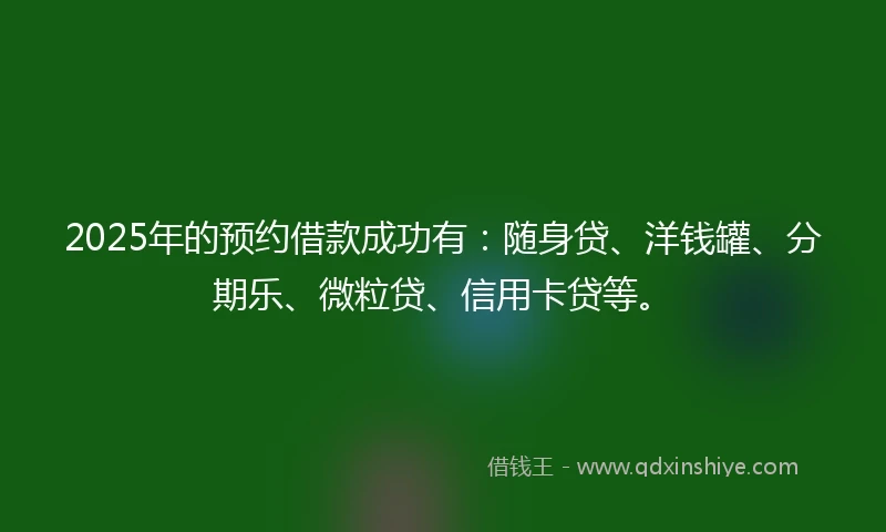 2025年的预约借款成功有：随身贷、洋钱罐、分期乐、微粒贷、信用卡贷等。
