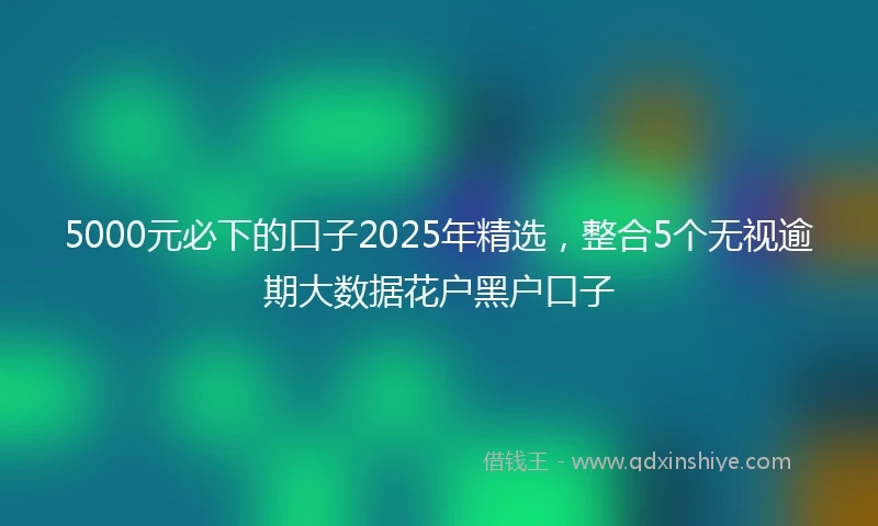 5000元必下的口子2025年精选，整合5个无视逾期大数据花户黑户口子