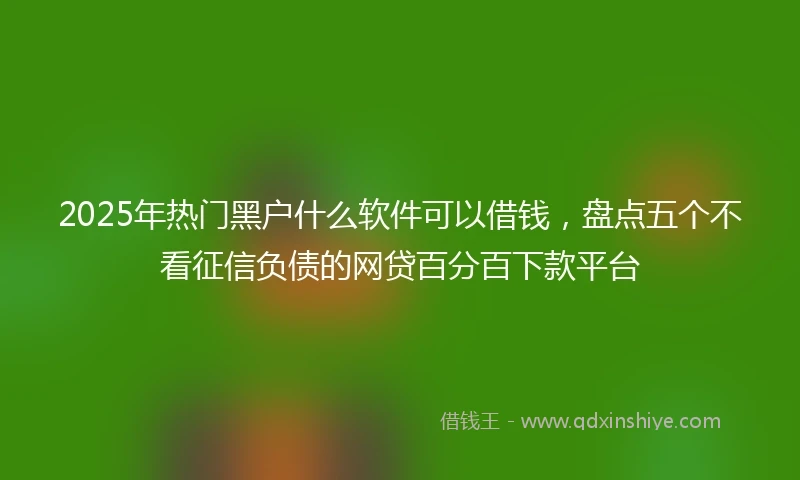 2025年热门黑户什么软件可以借钱，盘点五个不看征信负债的网贷百分百下款平台