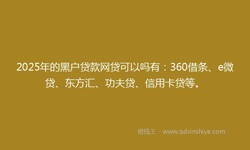 2025年的黑户贷款网贷可以吗有：360借条、e微贷、东方汇、功夫贷、信用卡贷等。