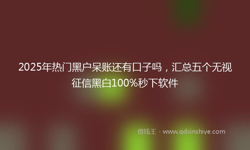 2025年热门黑户呆账还有口子吗，汇总五个无视征信黑白100%秒下软件