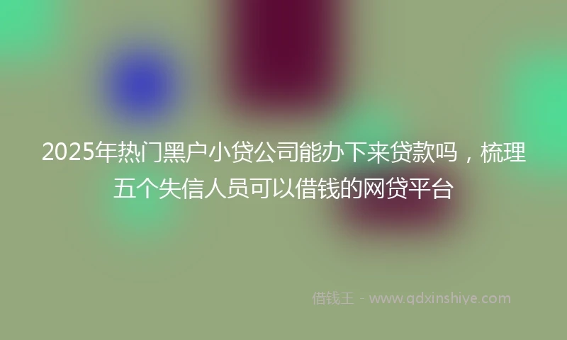 2025年热门黑户小贷公司能办下来贷款吗，梳理五个失信人员可以借钱的网贷平台