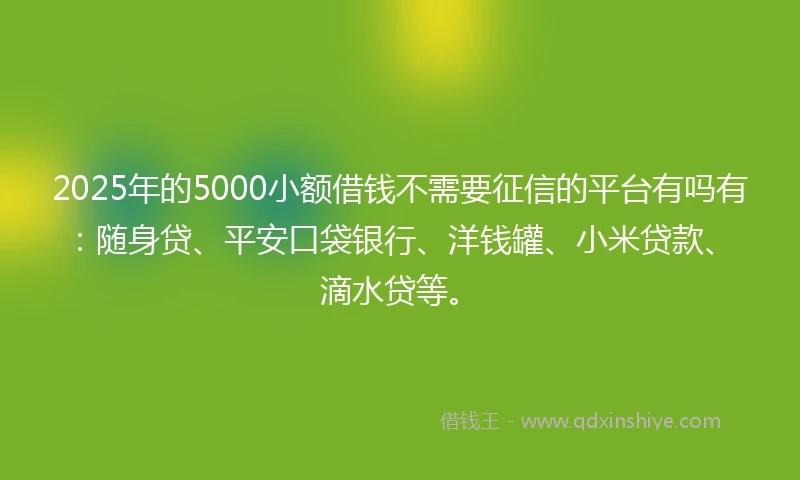2025年的5000小额借钱不需要征信的平台有吗有：随身贷、平安口袋银行、洋钱罐、小米贷款、滴水贷等。