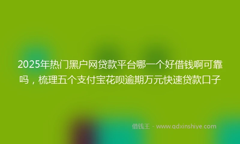2025年热门黑户网贷款平台哪一个好借钱啊可靠吗，梳理五个支付宝花呗逾期万元快速贷款口子
