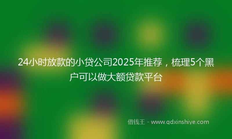 24小时放款的小贷公司2025年推荐，梳理5个黑户可以做大额贷款平台
