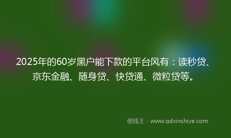 2025年的60岁黑户能下款的平台风有：读秒贷、京东金融、随身贷、快贷通、微粒贷等。