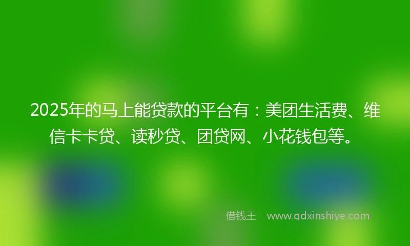 2025年的马上能贷款的平台有：美团生活费、维信卡卡贷、读秒贷、团贷网、小花钱包等。