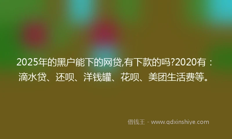 2025年的黑户能下的网贷,有下款的吗?2020有：滴水贷、还呗、洋钱罐、花呗、美团生活费等。