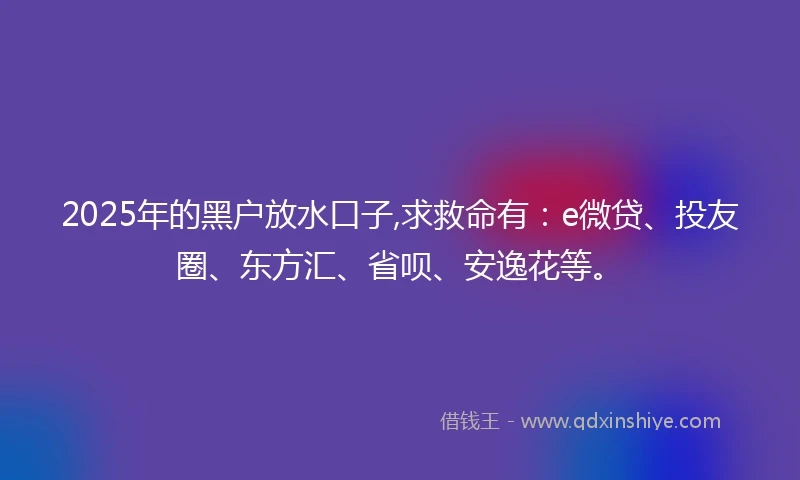 2025年的黑户放水口子,求救命有：e微贷、投友圈、东方汇、省呗、安逸花等。
