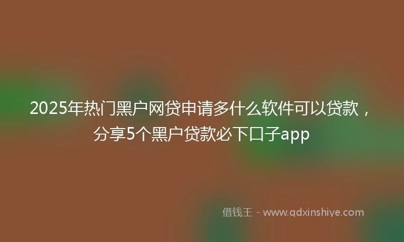 2025年热门黑户网贷申请多什么软件可以贷款，分享5个黑户贷款必下口子app