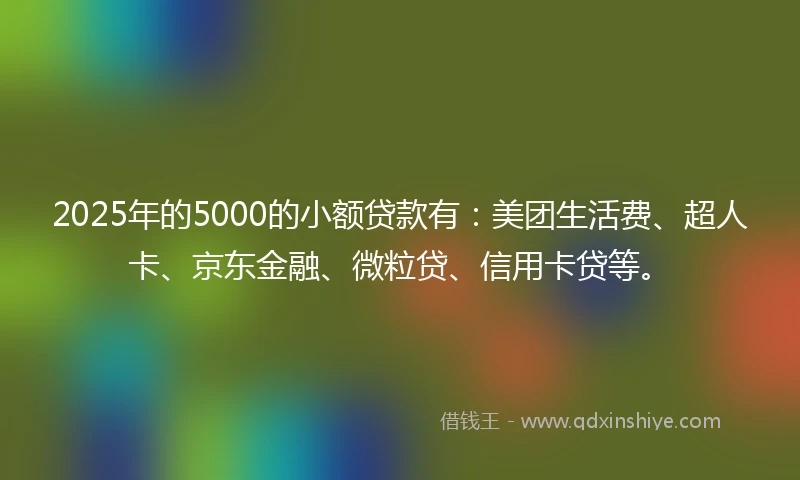 2025年的5000的小额贷款有：美团生活费、超人卡、京东金融、微粒贷、信用卡贷等。