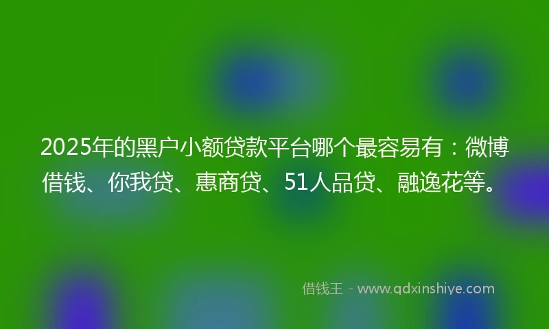 2025年的黑户小额贷款平台哪个最容易有：微博借钱、你我贷、惠商贷、51人品贷、融逸花等。