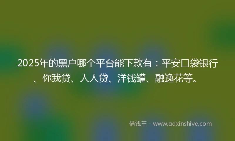 2025年的黑户哪个平台能下款有：平安口袋银行、你我贷、人人贷、洋钱罐、融逸花等。