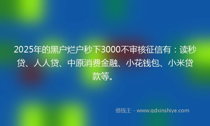 2025年的黑户烂户秒下3000不审核征信有：读秒贷、人人贷、中原消费金融、小花钱包、小米贷款等。