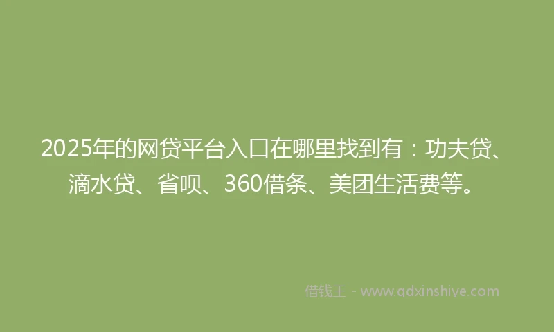 2025年的网贷平台入口在哪里找到有：功夫贷、滴水贷、省呗、360借条、美团生活费等。