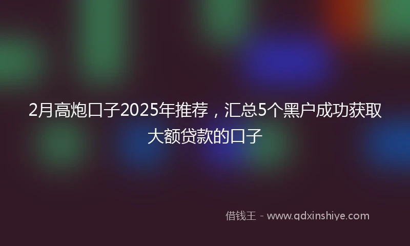 2月高炮口子2025年推荐，汇总5个黑户成功获取大额贷款的口子